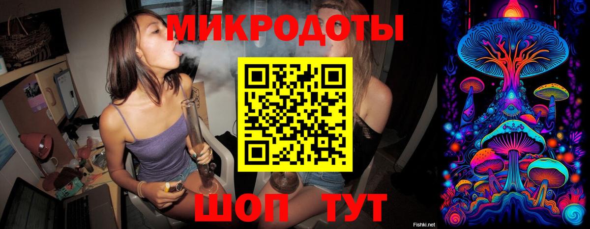Псилоцибиновые грибы прущие грибы Конаково