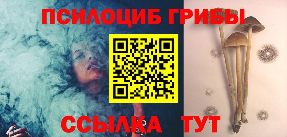Галлюциногенные грибы Cubensis  Вход с VPN  Галлюциногенные грибы мицелий  наркота  Конаково 